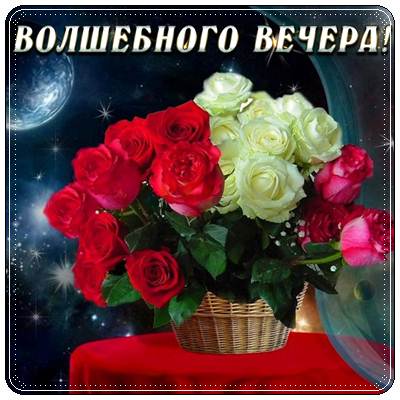 ДОБРЫЙ ВЕЧЕР стихи пожелания 🌺 