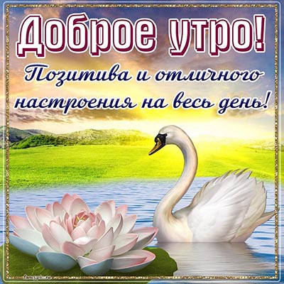 Открытки Доброе Утро Вторника