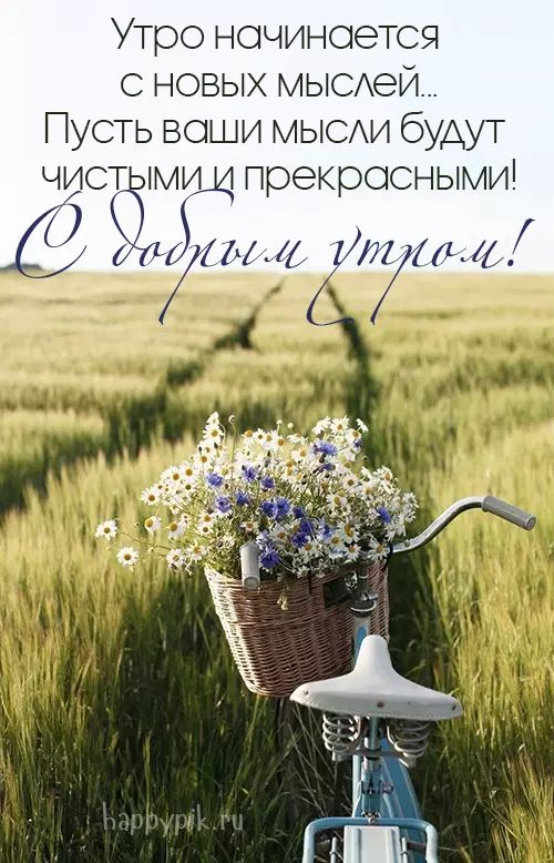 Хорошего дня природа