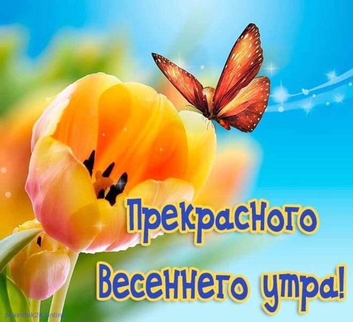 Открытки открытки доброе весеннее утро 