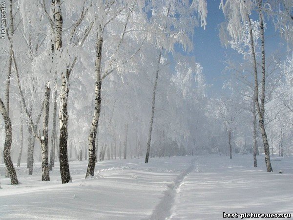 Последний день января картинки