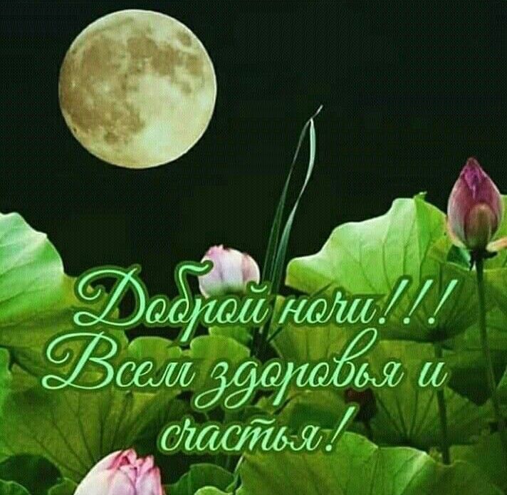 Красивые картинки Спокойной ночи 🌠🌙 217 шт