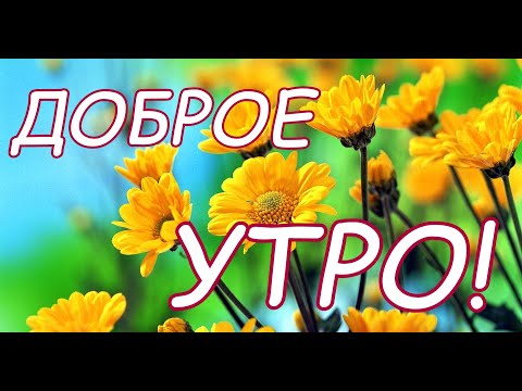 Доброе утро