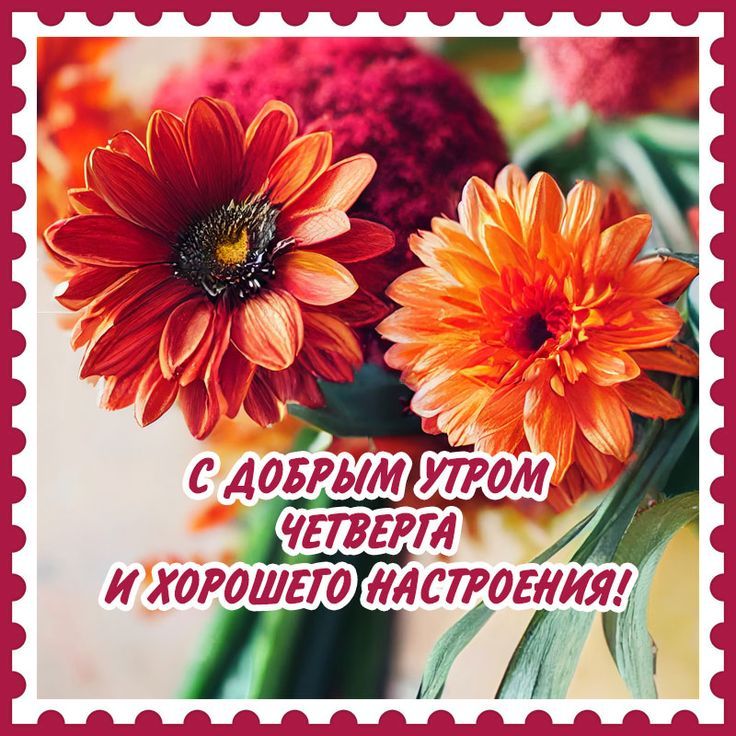 💌☀️😄 Картинки Хорошего дня