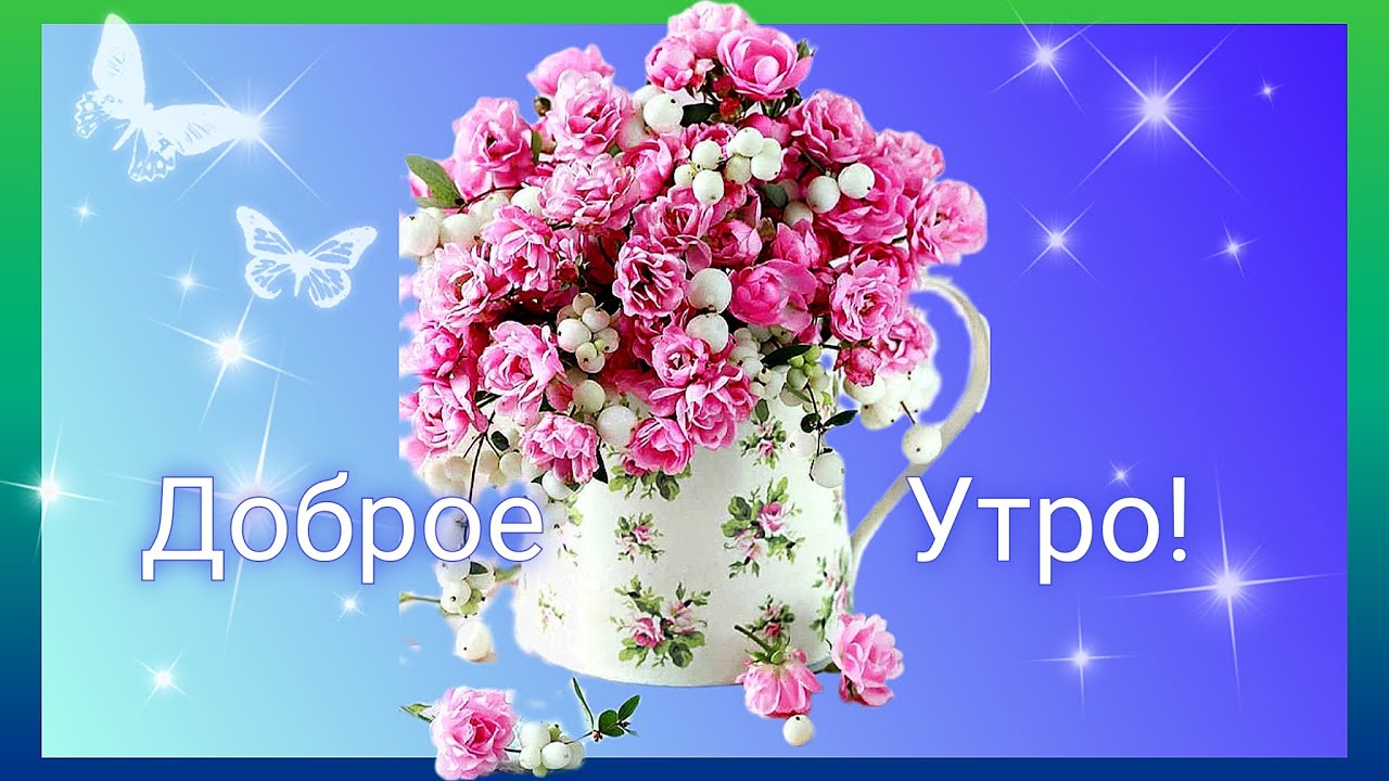 Какое замечательное доброе утро!!!!!!! Любви Вам ! 