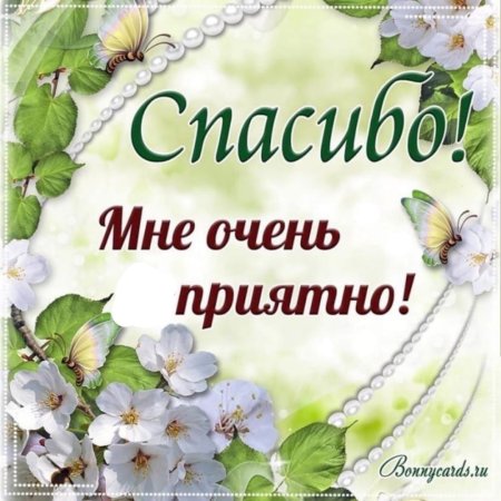 СПАСИБО ВСЕМ ЗА ПОЗДРАВЛЕНИЯ ГОСПОДА И ДАМЫ, ДЖЕНТЛЬМЕНЫ И 