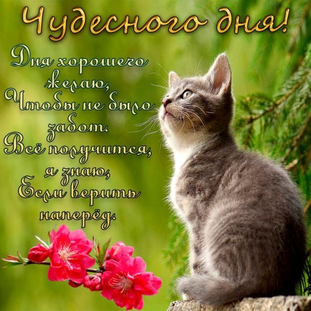 МОЙ НОВЫЙ ДЕНЬ, Доброе Утро! Красивое 