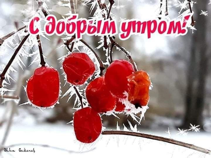 ❄️Доброе утро! Сегодня 13 февраля 