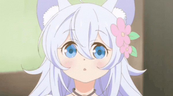 Anime Catgirl GIFs