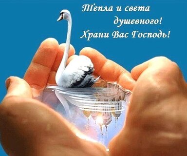 Открытка Доброго вам дня! Мир вам и 