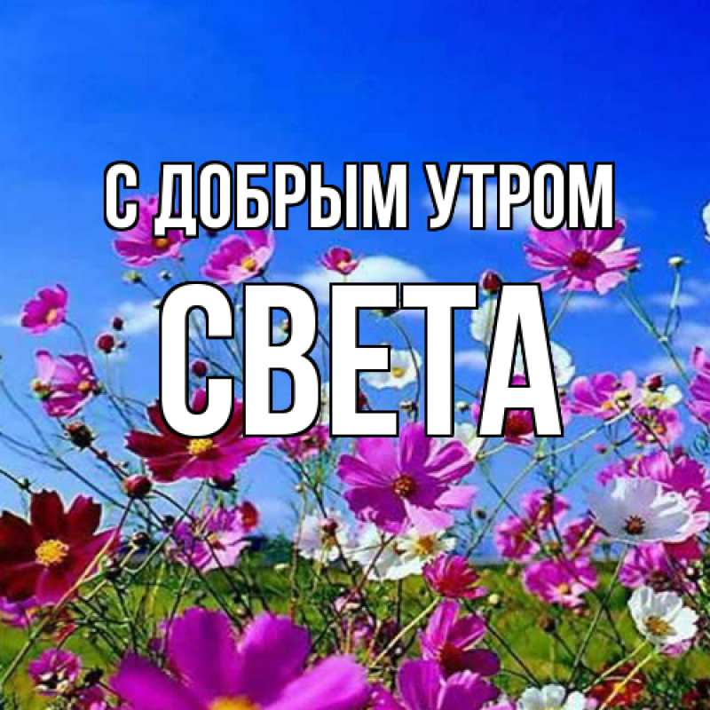 Открытка с именем Светочка С добрым 