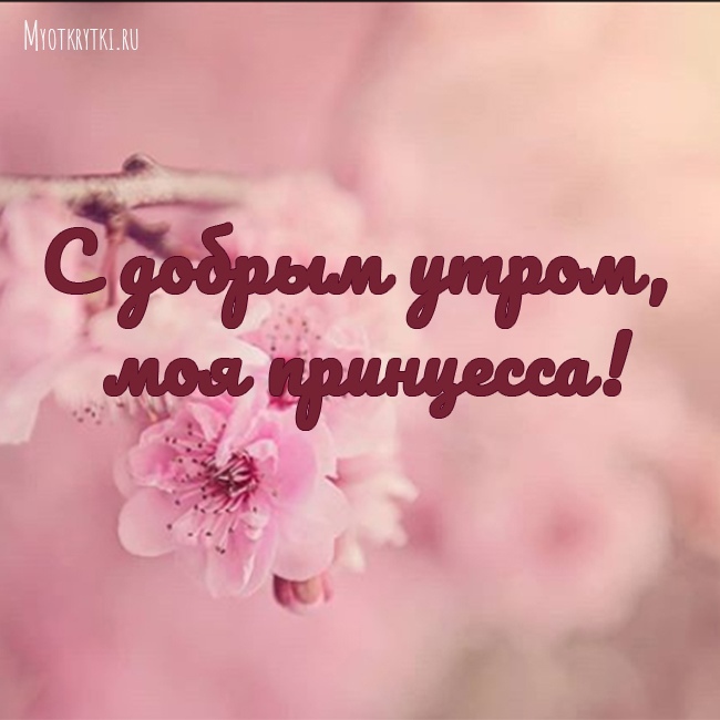 Моя коллекция картинок на портале Happypik