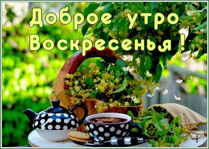 С ДОБРЫМ ВОСКРЕСНЫМ УТРОМ МОИ 