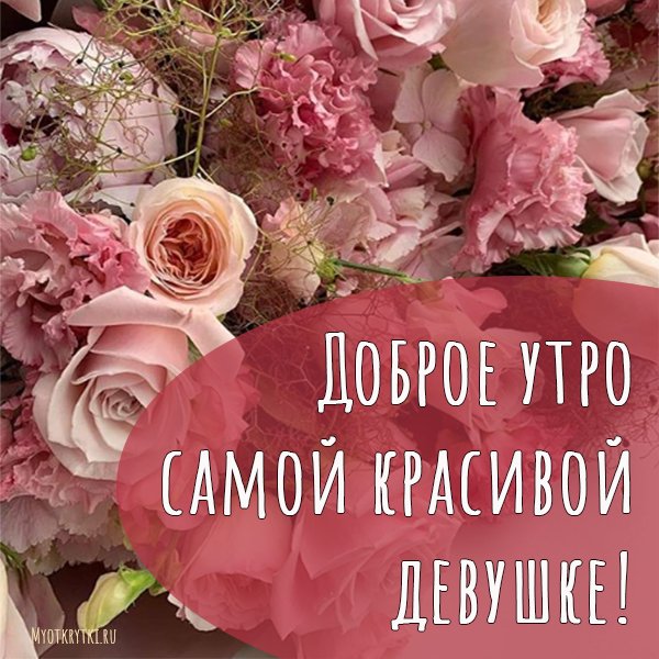 💗 Доброе утро