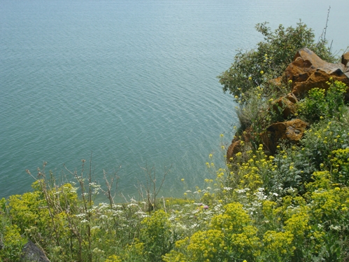 Всемирный день воды 