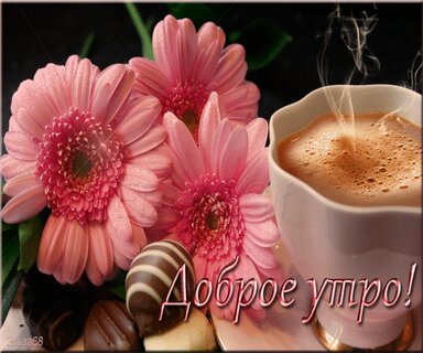 Доброе февральское утро☕ 