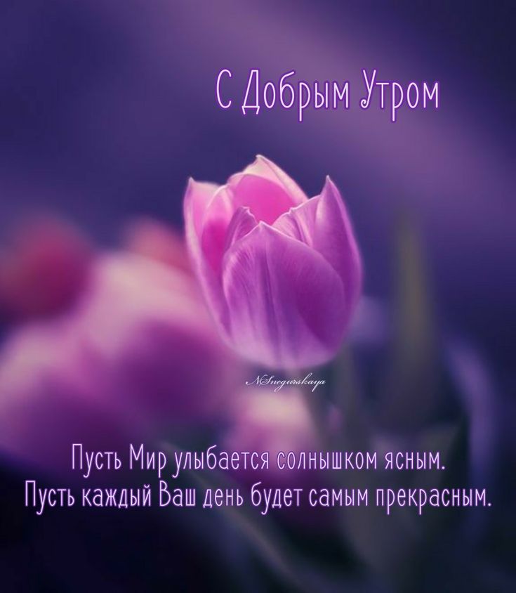 Доброго утра! Хорошего дня! 😊☺😉 