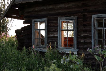 Фото гладиолуса Родительский Дом mirgladiolus