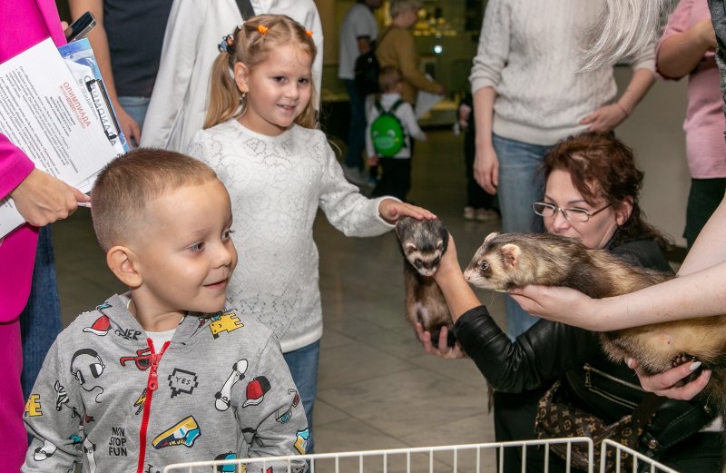 Всемирный День Домашних Животных В 