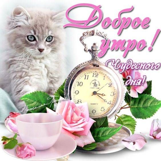 💗☕️Доброе Утро! Хорошего Дня!🌹Для Друзей! Заряд Позитива 