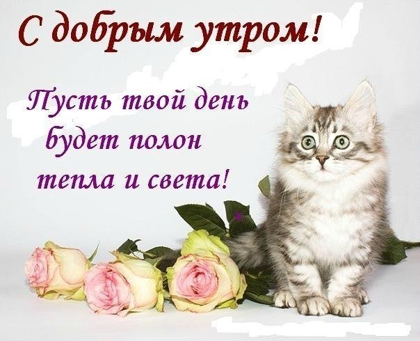 ❄️❄️☕☕🌞🌞☀️☀️☕☕❄️❄️С ДОБРЫМ УТРОМ 