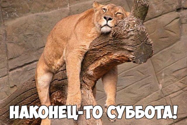 Сынок, доброе утро