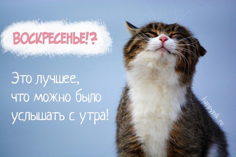 Открытка Доброе утро Воскресенья!