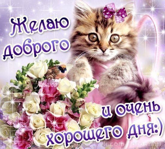 💌☀️😄 Картинки Хорошего дня