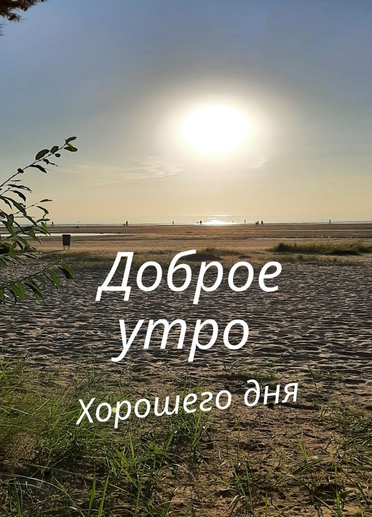 доброеутро#хорошегодня#осень#рассвет 