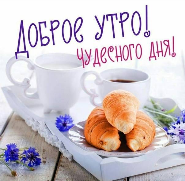 Красивые картинки Доброе утро ☀️☕