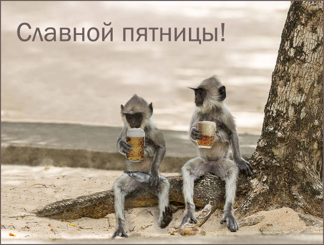 С ПЯТНИЦЕЙ! 🥳 юмор 