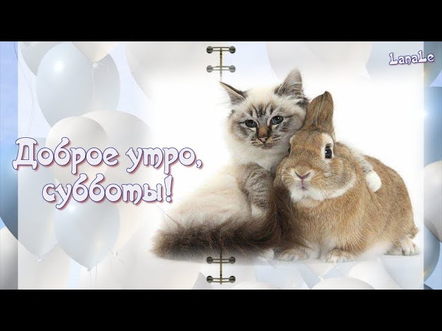 Доброе утро