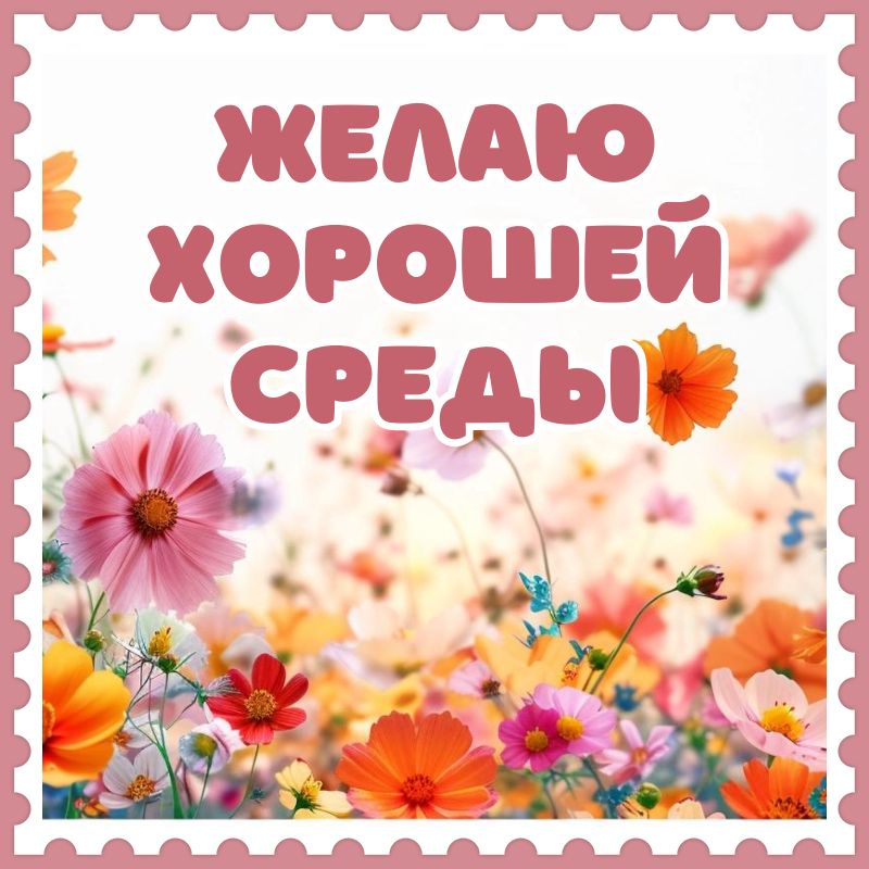 Удачной среды! 🦋 Поздравление со средой 