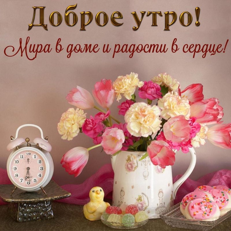 Доброе утро!🌷🌱🌺 📖Стих на