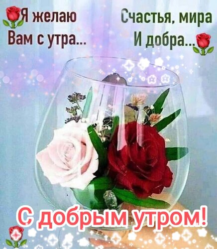 Пожелания мира и добра