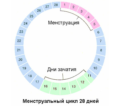 День должен начинаться с улыбки!