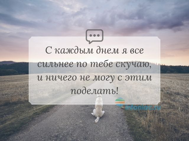 Стихи 