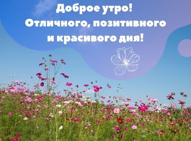 Доброе утро