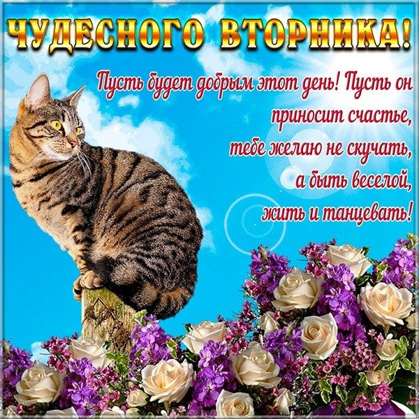 Открытки 