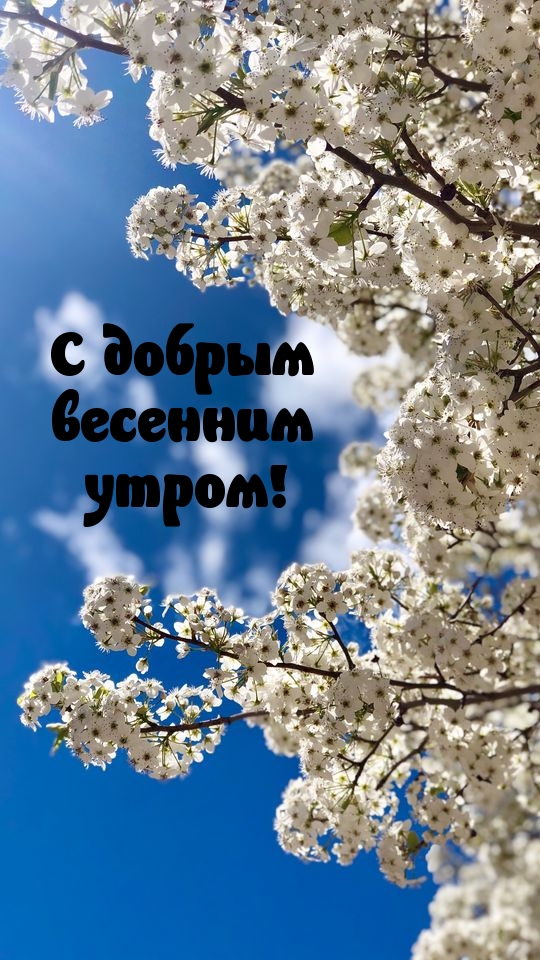 Доброе Утро Природа Весна