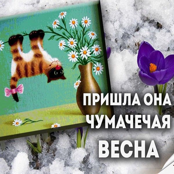 Поздравление с первым днем весны! Весна пришла! Здравствуй 