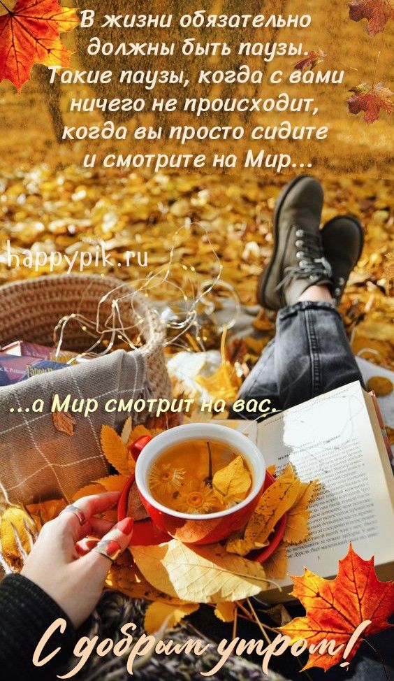 С Добрым утром🤗