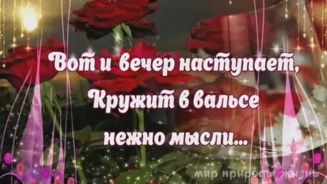 доброго вечера доброй ночи GIF 