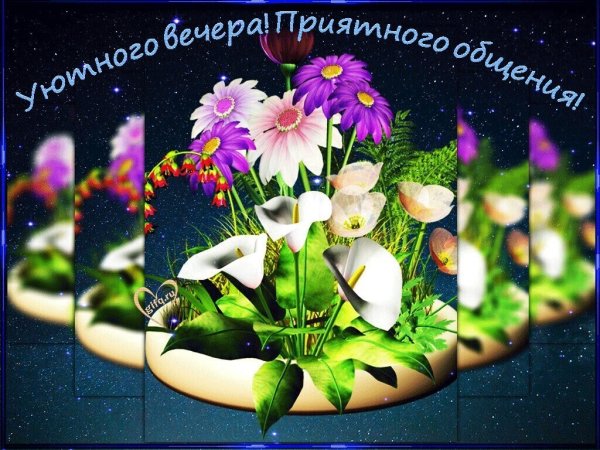 ВЕЧЕР ДОБРЫЙ! — открытки очень красивые 🌹 с пожеланиями 