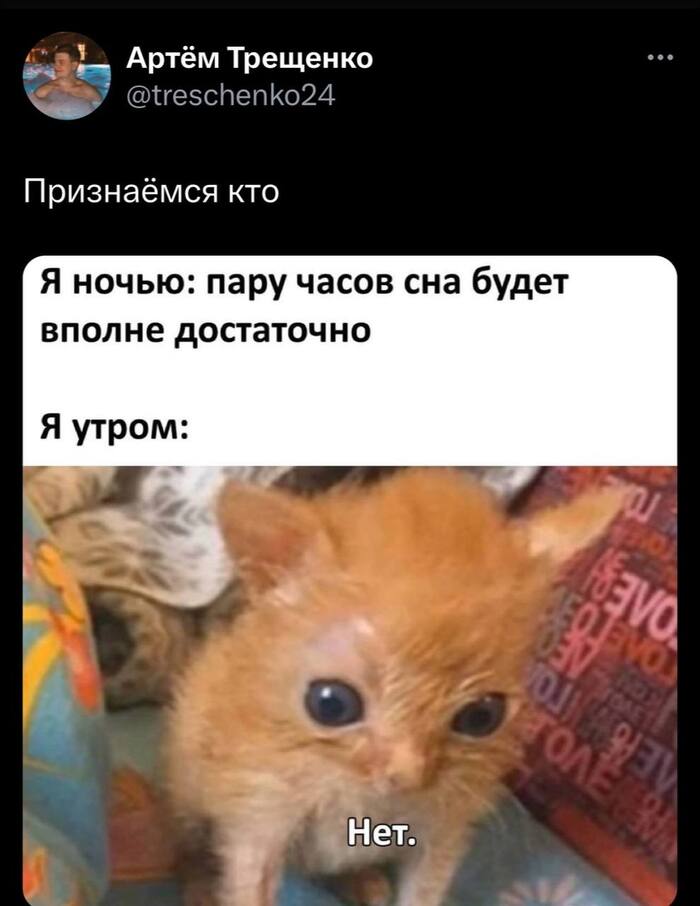 Это гениально!!! Фейк фейками, но этот 