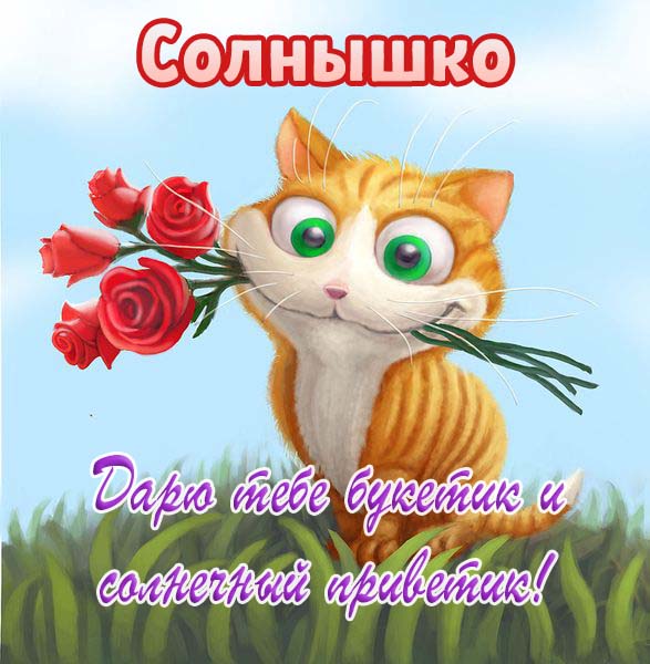 Солнечного Дня