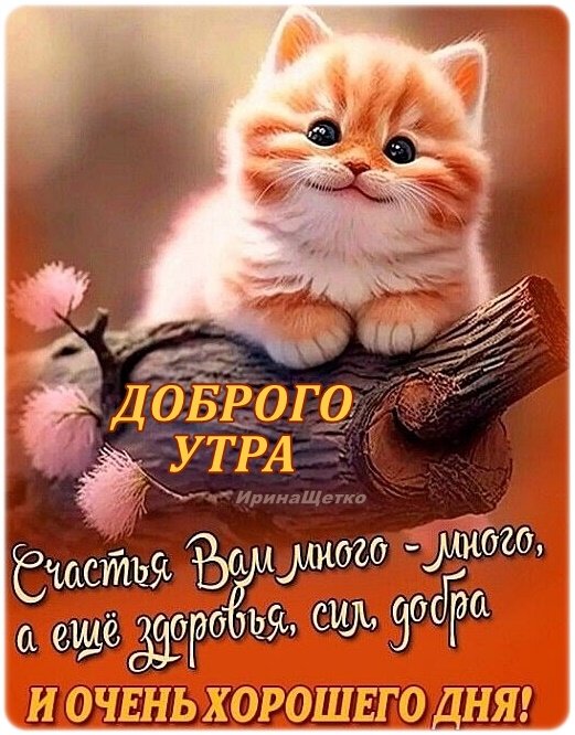 Открытка приятного энергичного утра