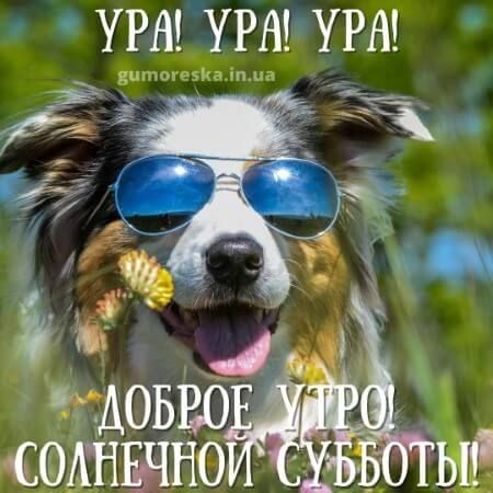 Замечательной субботы и уютных осенних выходных! Доброе утро 