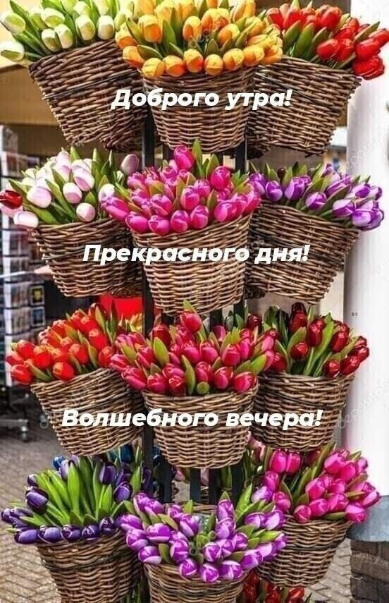 Волшебное утро