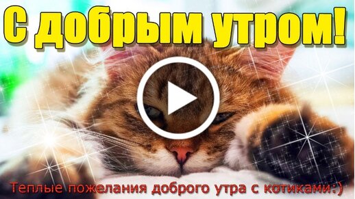 Картинки доброе утро 100 открыток